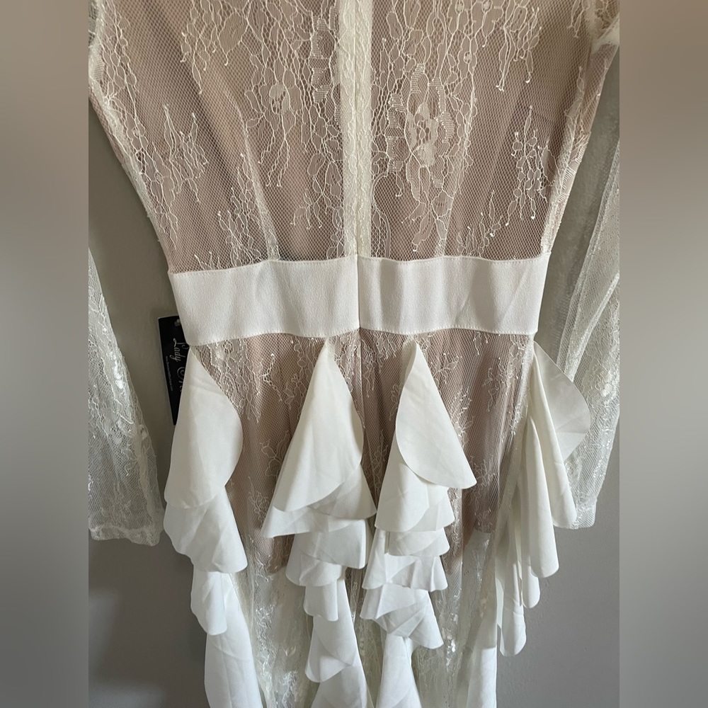 ALAMOUR BLITHE LA NWT lace gown maxi dress - Picture 4 of 9